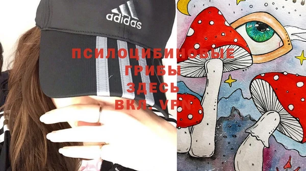 шишки Михайловка