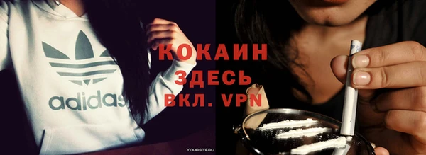 шишки Михайловка
